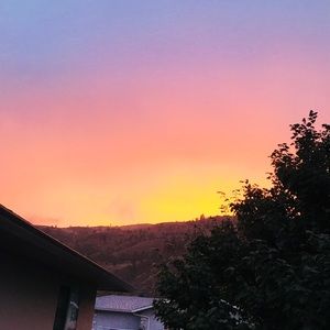 Meet your Posher, Lucy